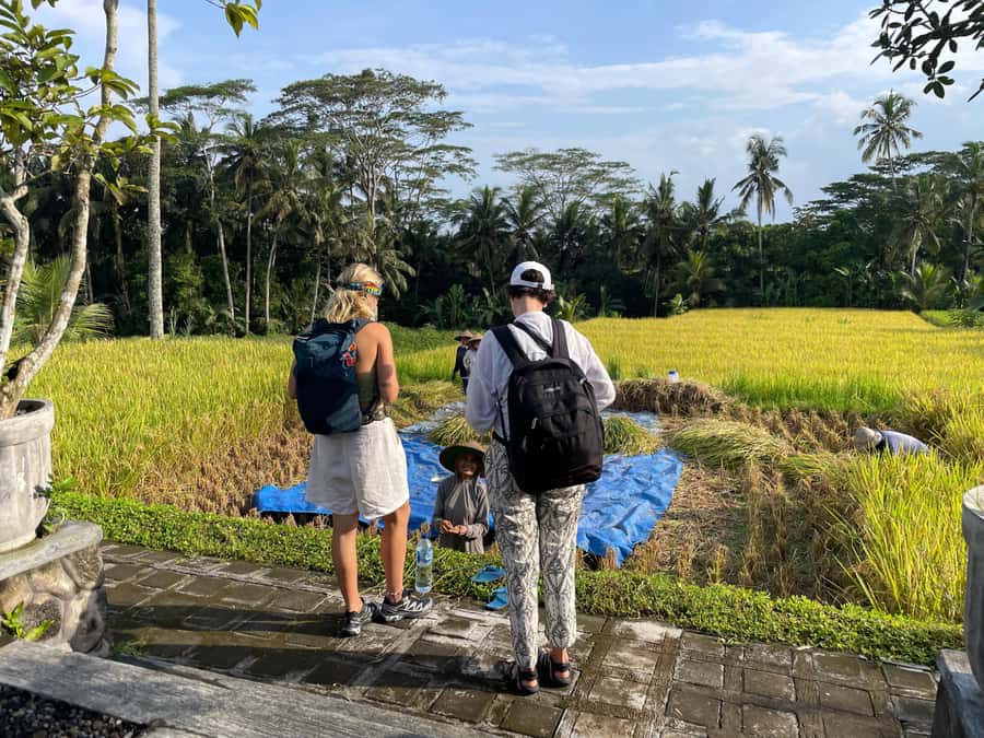 Ubud: Waterfalls, Water Temple & Rice Terraces Private Tour - Tukad Cepung cave waterfall: the photos happen because you go in